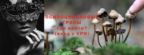 прущий лед Армянск