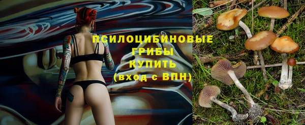 прущий лед Армянск
